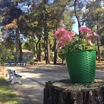 Nisteri Seaside Appartement Glifada (Thasos)