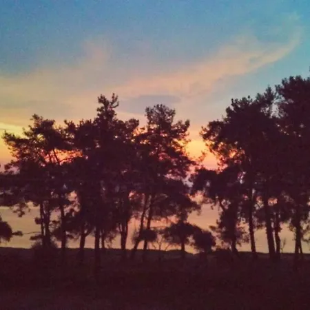 Nisteri Seaside