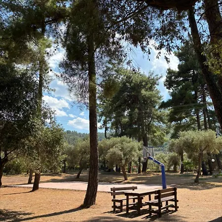 Nisteri Seaside * Glifada (Thasos)