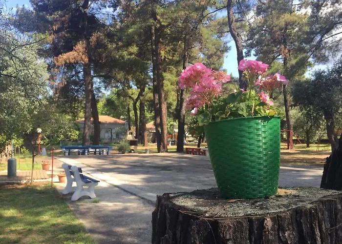 Nisteri Seaside Apartamento Glifada (Thasos)